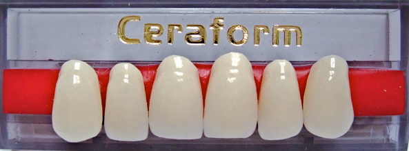 Product photograph of Ceraform - Porcelain Teeth